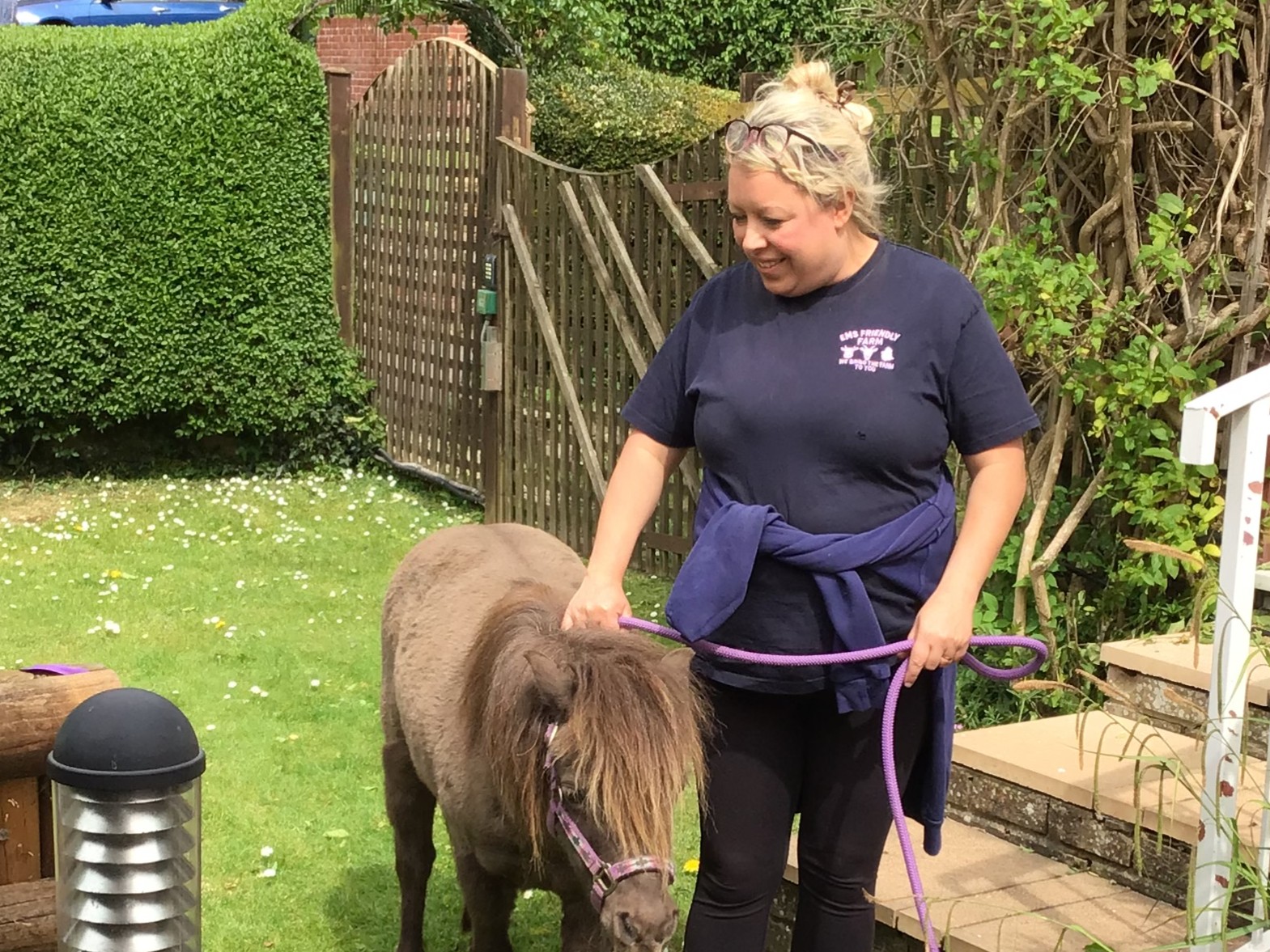Pony Visit 